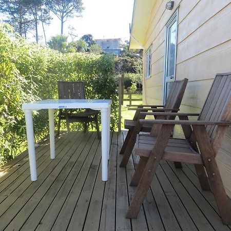 Big Bay Holiday Park Awhitu Номер фото